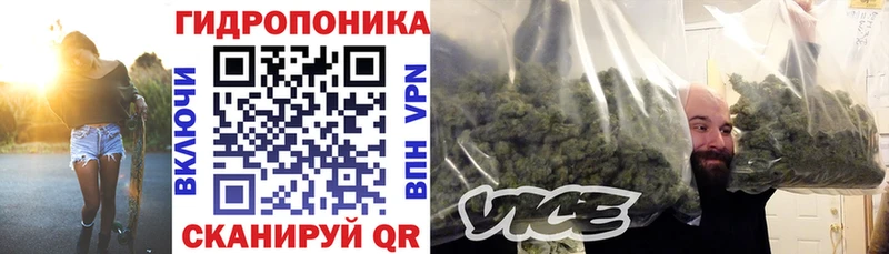 Каннабис ГИДРОПОН как найти закладки Южно-Сахалинск